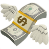 money-with-wings emoji